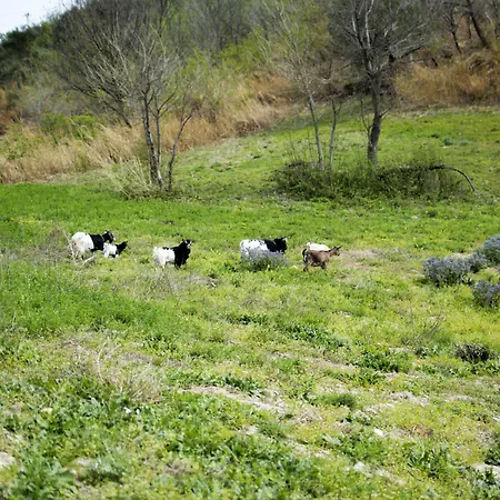 Al Regio Tratturo Çiftlik konaklama Serramonacesca